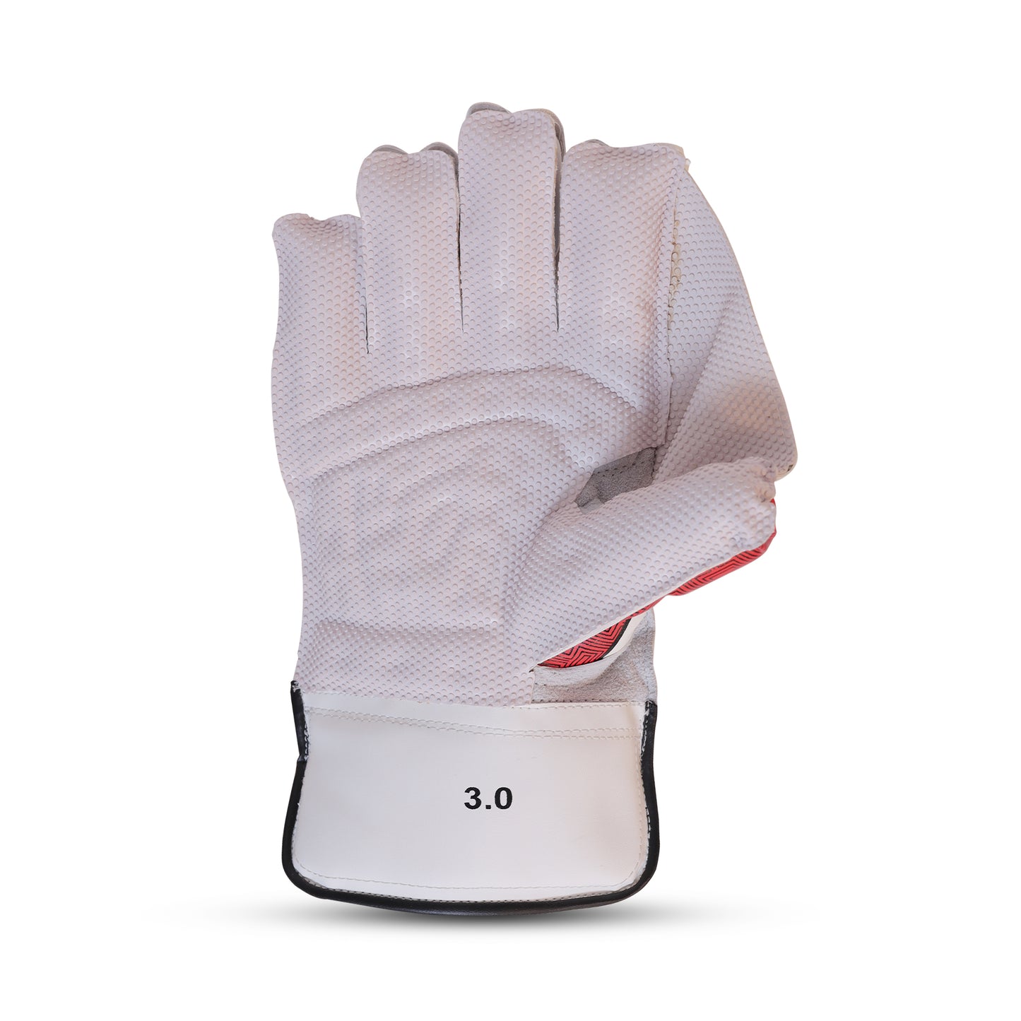 TON Pro 3.0 Wicket Keeping Gloves