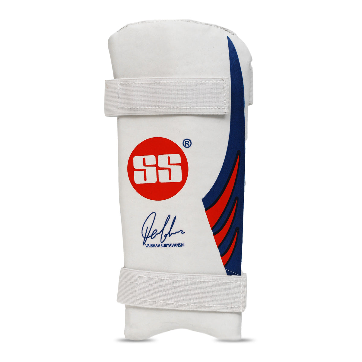 Vaibhav Sooryavanshi Kashmir Willow Cricket Kit