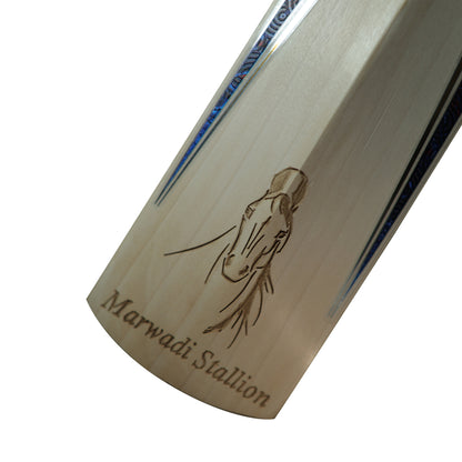 Marwari Stallion English Willow Cricket Bat