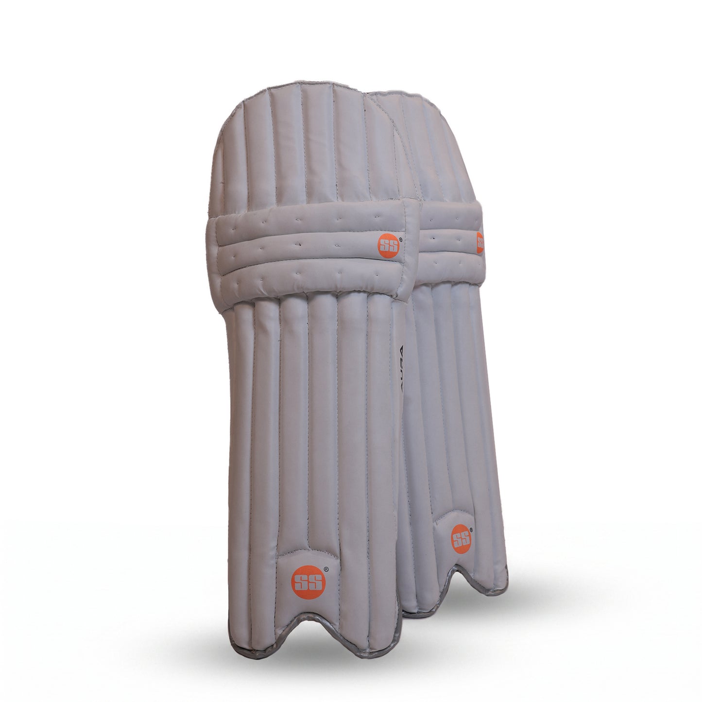 Aura Kashmir Willow Cricket Kit