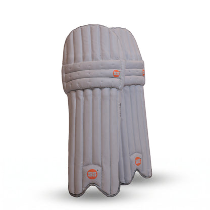 Aura Kashmir Willow Cricket Kit