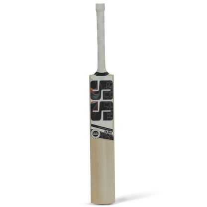 Echo Kashmir Willow Cricket Bat