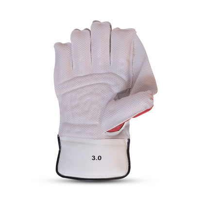 TON Pro 3.0 Wicket Keeping Gloves