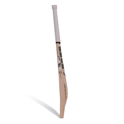 Tim David Player English Willow Cricket Bat