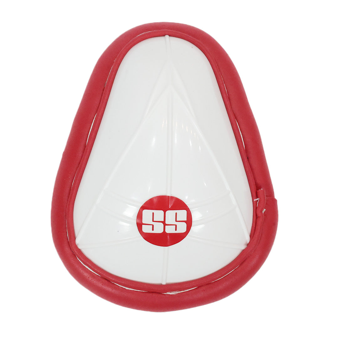 Vaibhav Sooryavanshi Kashmir Willow Kit