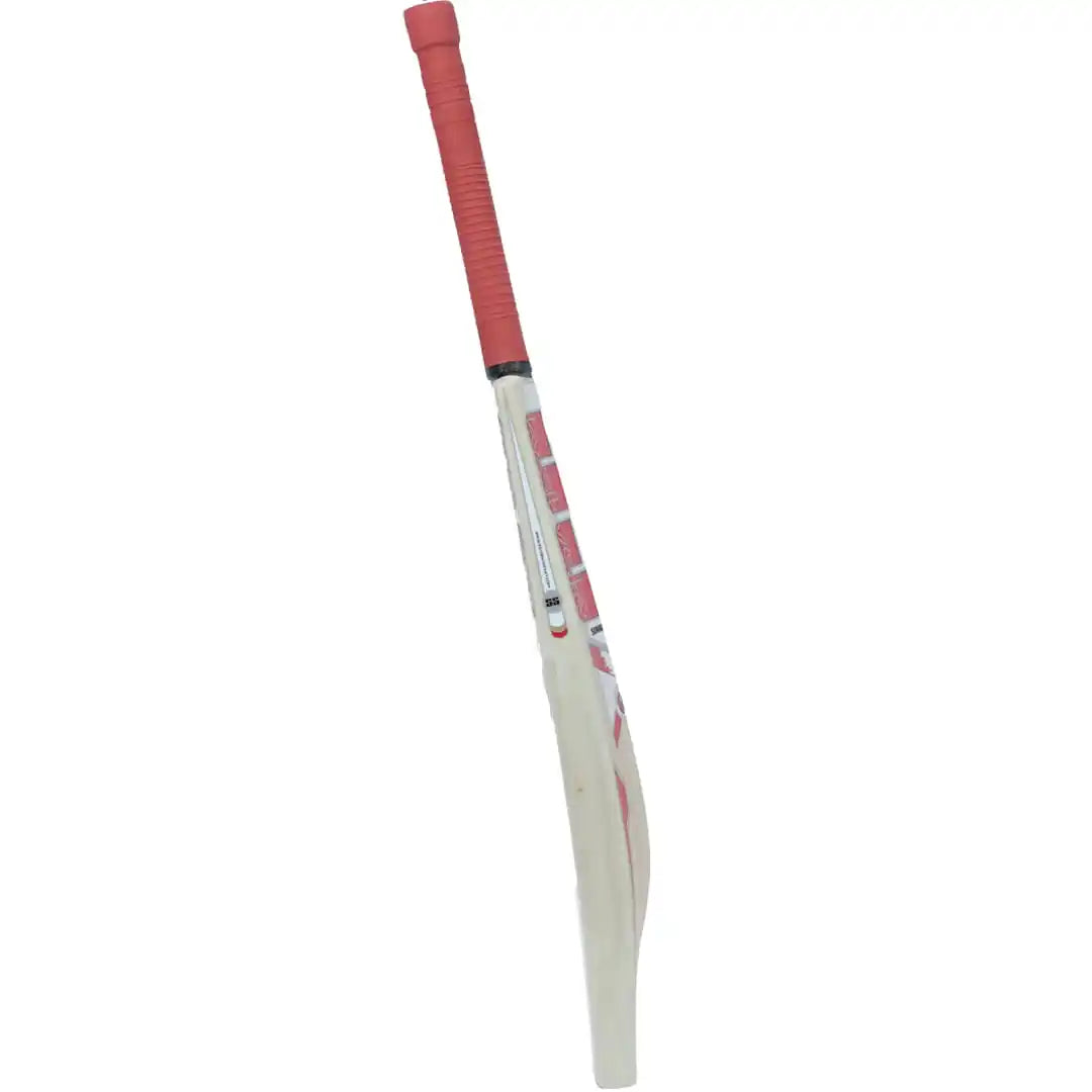 Sky Smasher Kashmir Willow Cricket Bat
