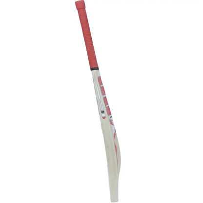 Sky Smasher Kashmir Willow Cricket Bat
