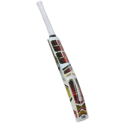Master Kashmir Willow Cricket Bat