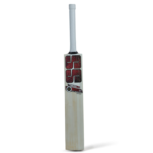 Vaibhav Sooryavanshi Attack English Willow Cricket Bat