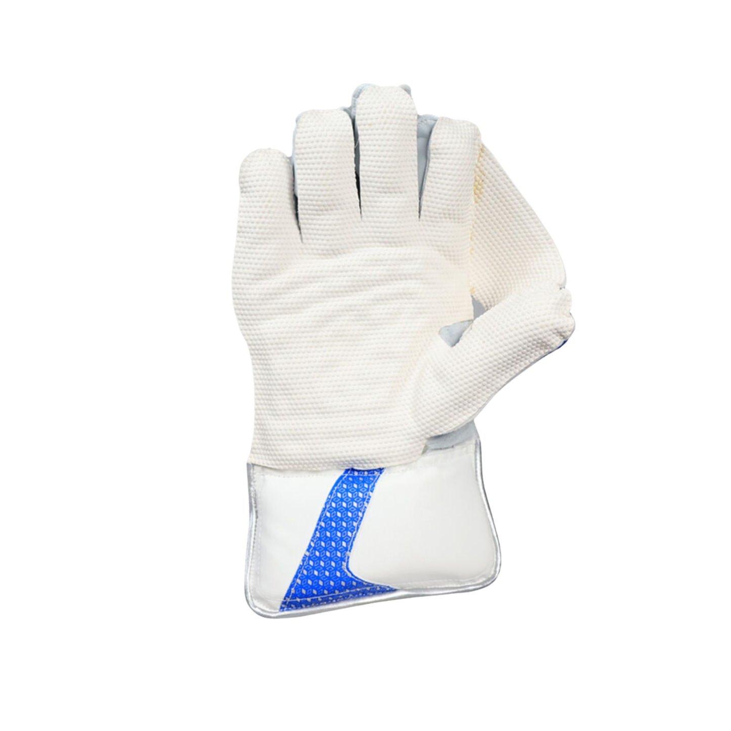 TON Gutsy Wicket Keeping Gloves