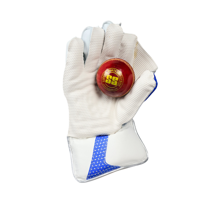 TON Gutsy Wicket Keeping Gloves