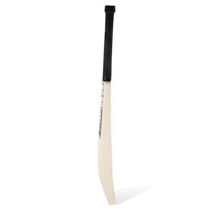 Middler Kashmir Willow Bat