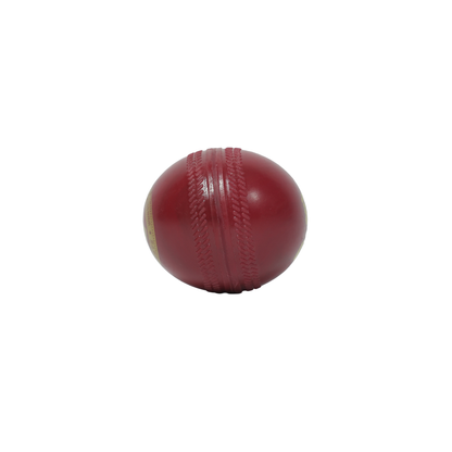 Striker Synthetic Ball