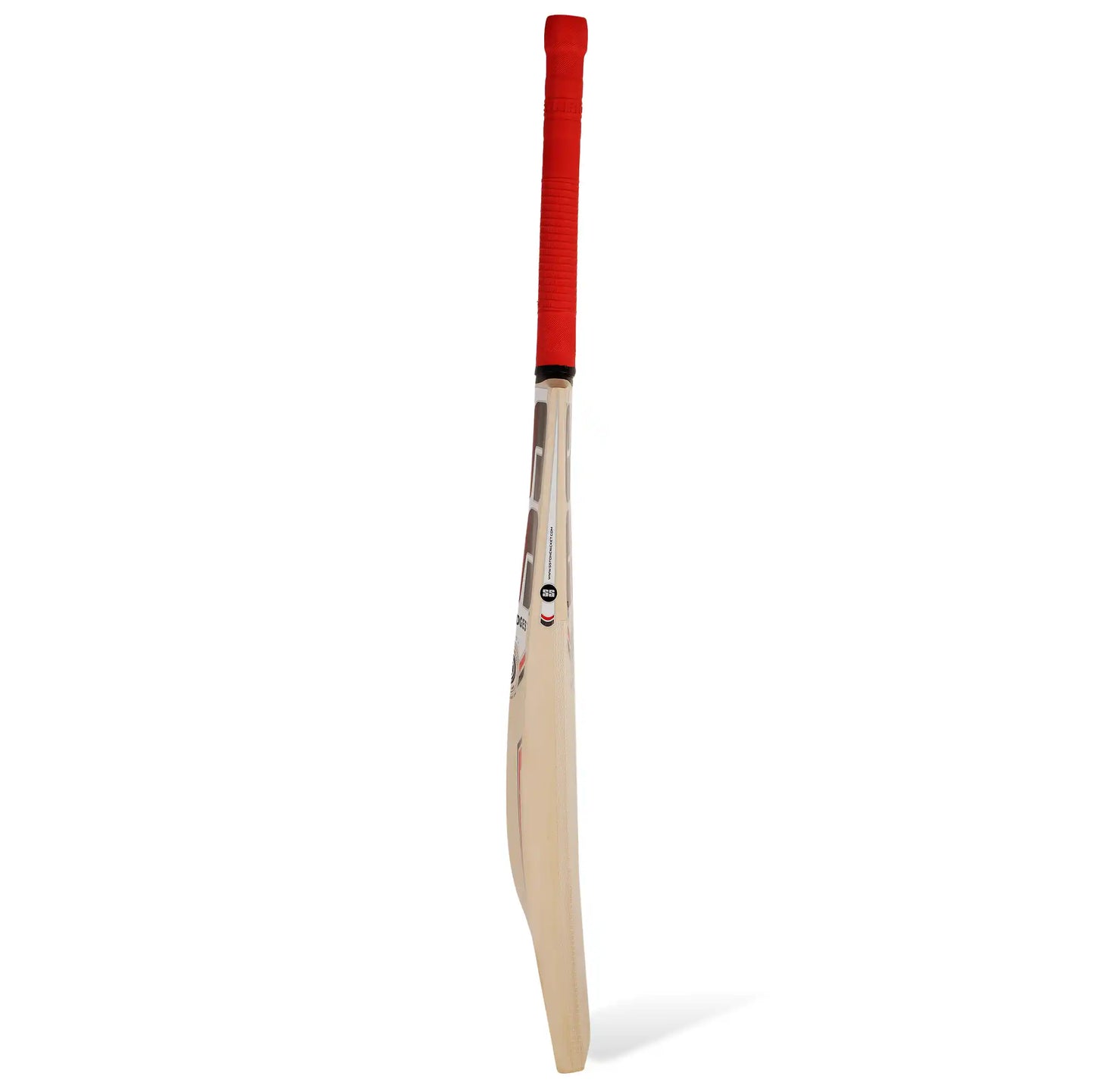 Slogger Kashmir Willow Cricket Bat