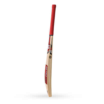 VA 900 English Willow Cricket Bat
