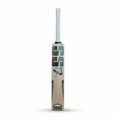 Tim David Kashmir Willow Cricket bat