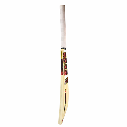 Nitish Kumar Reddy Kashmir Willow Cricket Bat (Painted)
