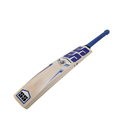Magnet Kashmir Willow Cricket Bat