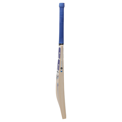 Magnet Kashmir Willow Cricket Bat