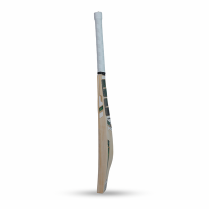 Tim David Kashmir Willow Cricket bat