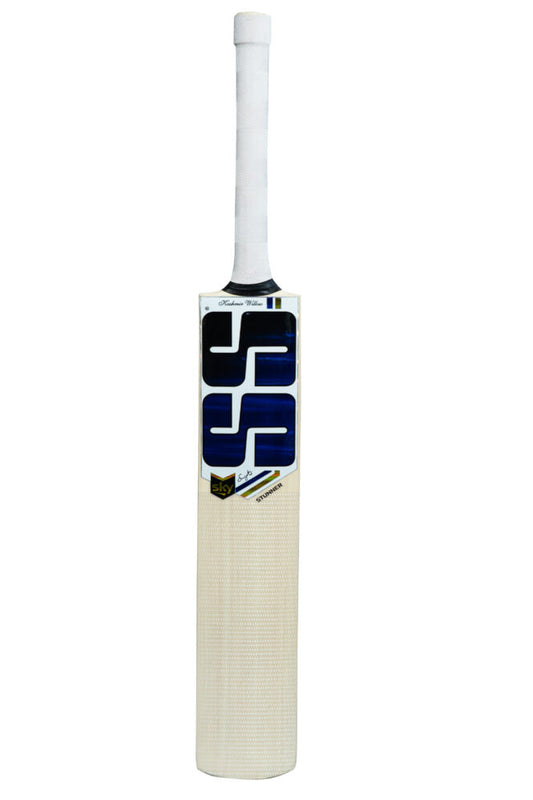 Sky Stunner Kashmir Willow Cricket Bat (Painted)